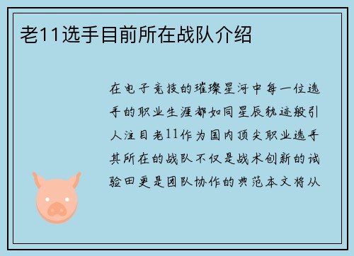 老11选手目前所在战队介绍